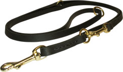 Classy Dog Leash