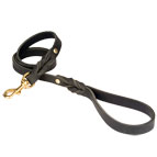 Super Dog leash