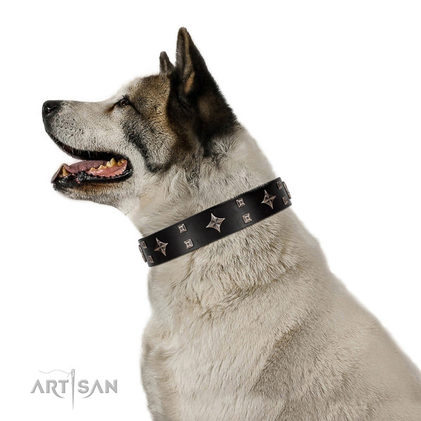 Black leather Akita Inu collar with silver-like covered decorative elements