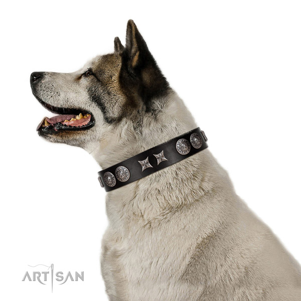 Exclusive walking leather Akita Inu collar