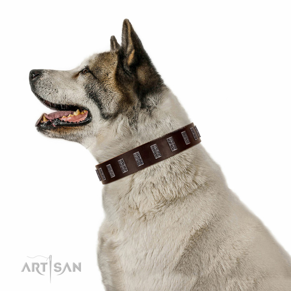 Walking top-notch quality walking leather Akita Inu collar