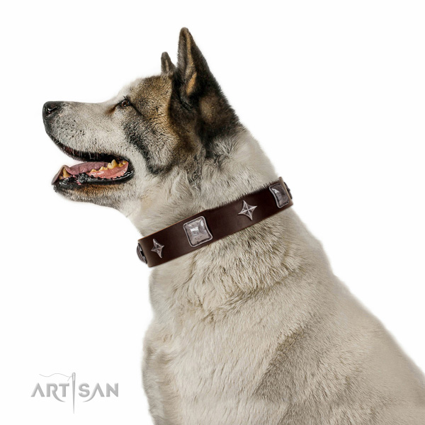 Walking top-notch quality walking leather Akita Inu collar