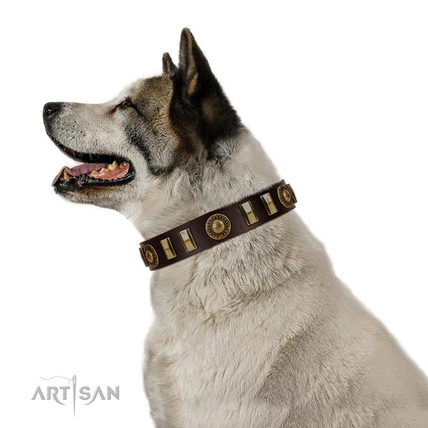 Natural Leather Akita Inu Collar with Incredible Adornments