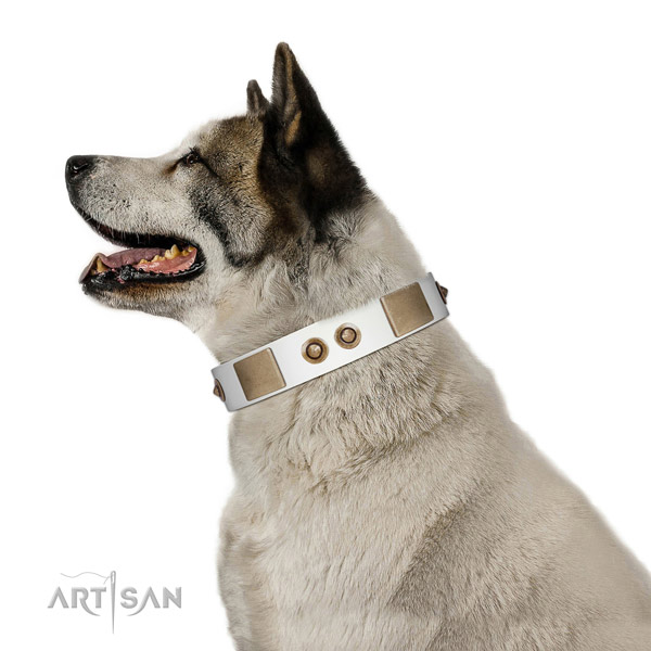 Soft Leather Akita Inu Collar for Daily Use