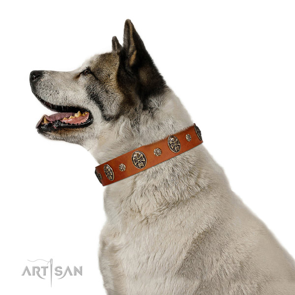 Comfortable leather Akita Inu collar for everyday use