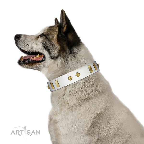 Natural Leather Akita Inu Collar with Incredible Adornments