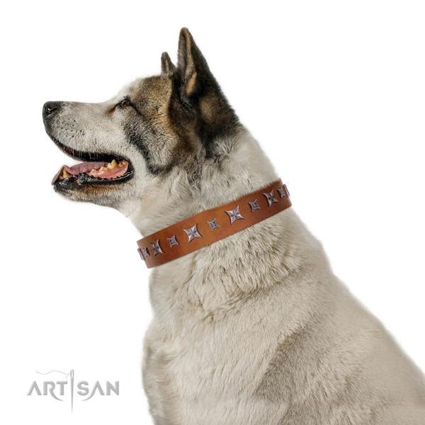 Walking top-notch quality walking leather Akita Inu collar