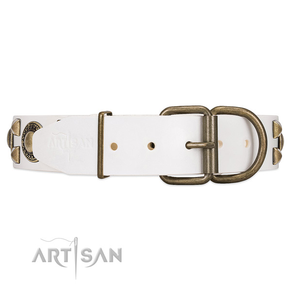 Strong leather dog collar with chrome plated hardware