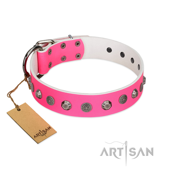 Fabulous FDT Artisan leather dog collar