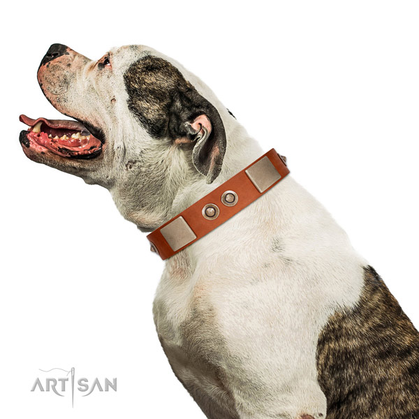 Exclusive Tan Leather FDT Artisan American Bulldog Collar