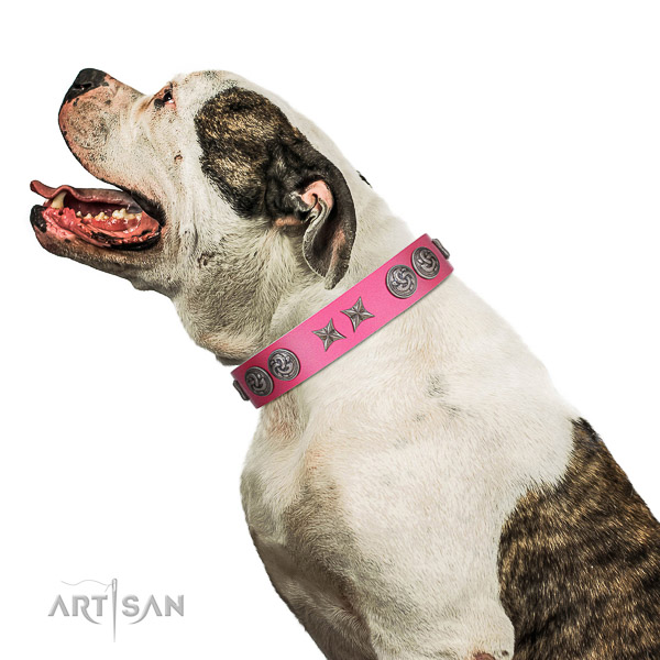 Walking top-notch quality walking leather American Bulldog collar