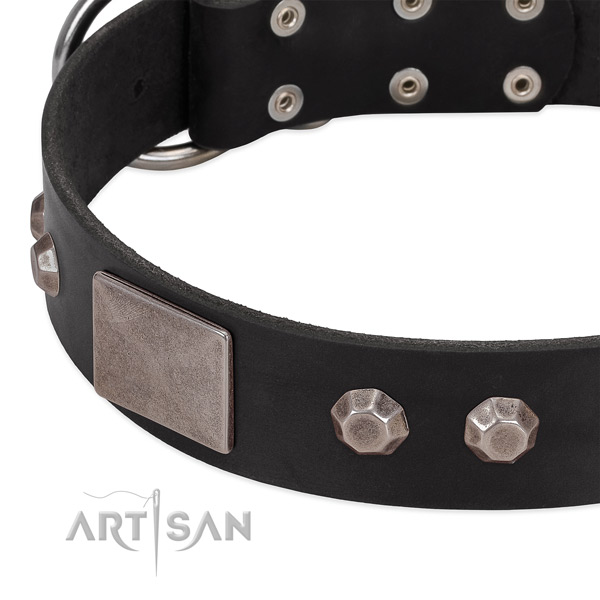 Black leather dog collar with cool decorations