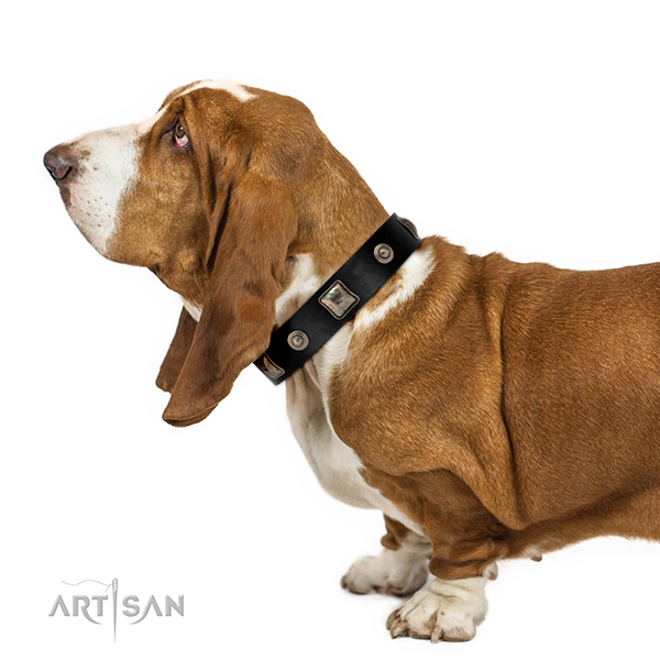 FDT Artisan leather dog collar for daily walks