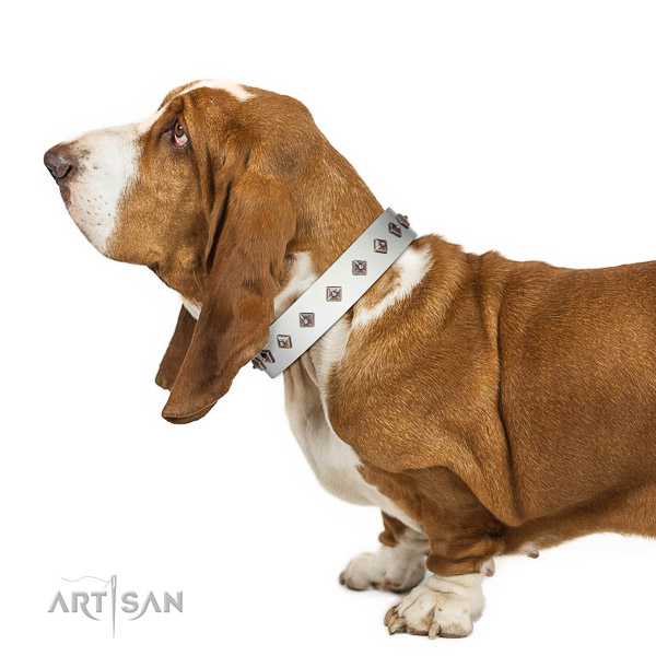 Walking top-notch quality walking leather Basset Hound collar