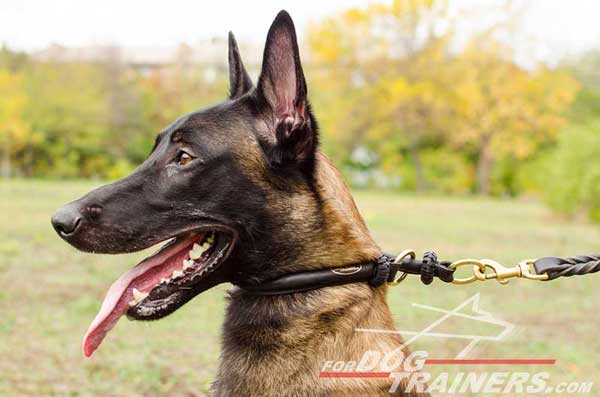 Round Leather Choke Collar for Belgian Malinois