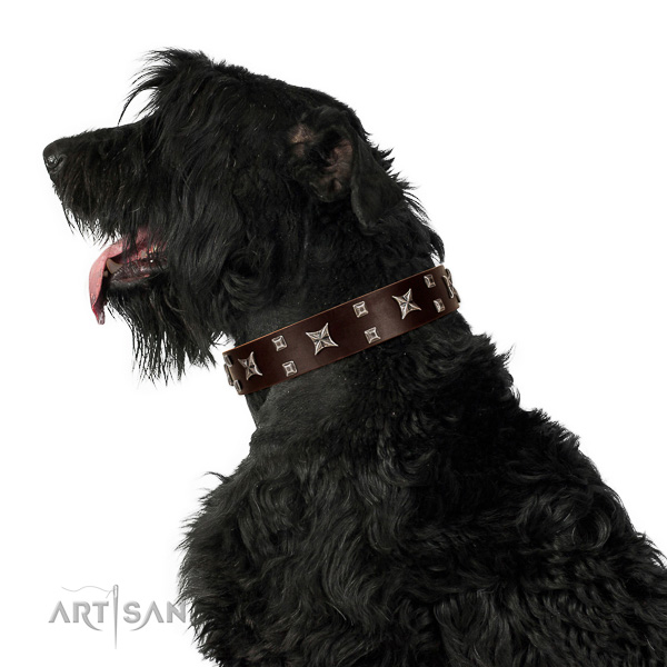 Comfortable Wearing Black Russian Terrier Collar of Awesome Quality Leather