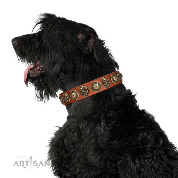 Black Russian Terrier Genuine Leather Dog Collar with Riveted Decorations