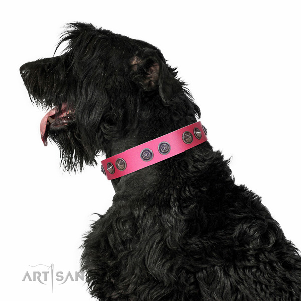 Extraordinary walking pink leather Black Russian Terrier collar with chic decorations