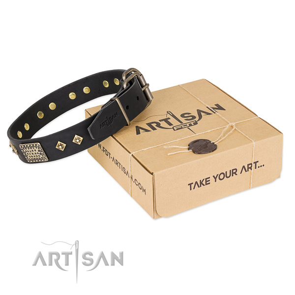 Fashionable black leather dog collar