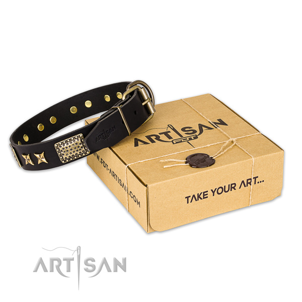 Black leather dog collar for fashion walking