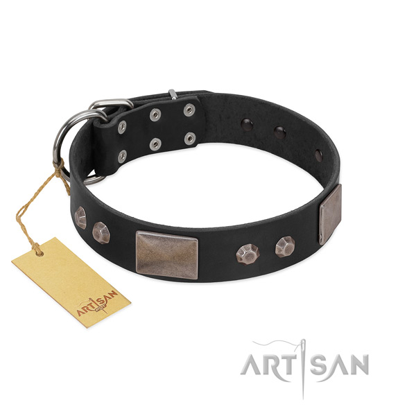 Reliable FDT Artisan leather dog collar