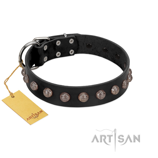 Stylish FDT Artisan leather dog collar