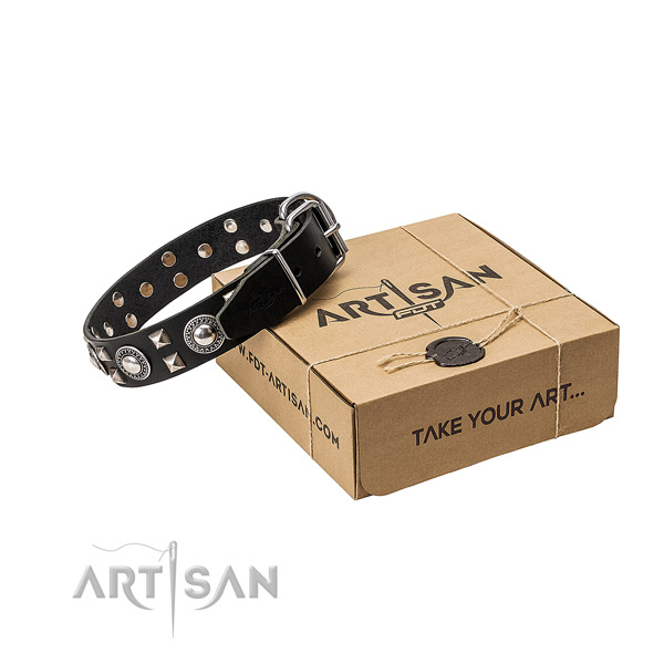 FDT Artisan leather dog collar for your best dog