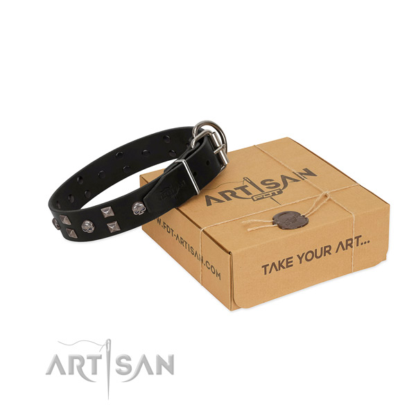 Black FDT Artisan leather dog collar for walks