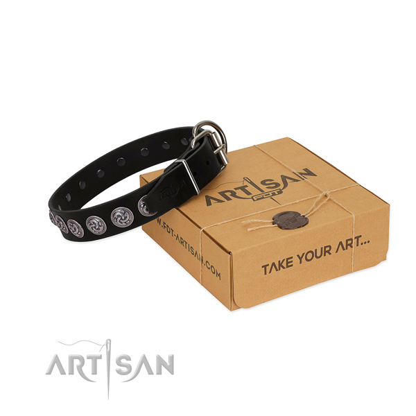 FDT Artisan leather dog collar for walks