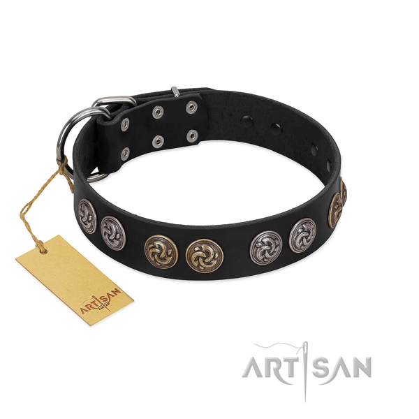 Fabulous FDT Artisan leather dog collar