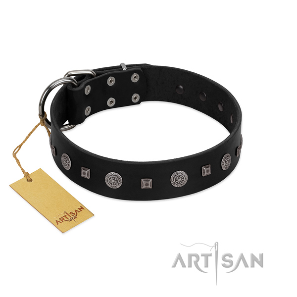 Fabulous FDT Artisan leather dog collar