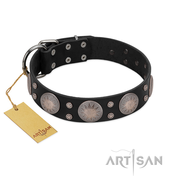 Fabulous FDT Artisan leather dog collar