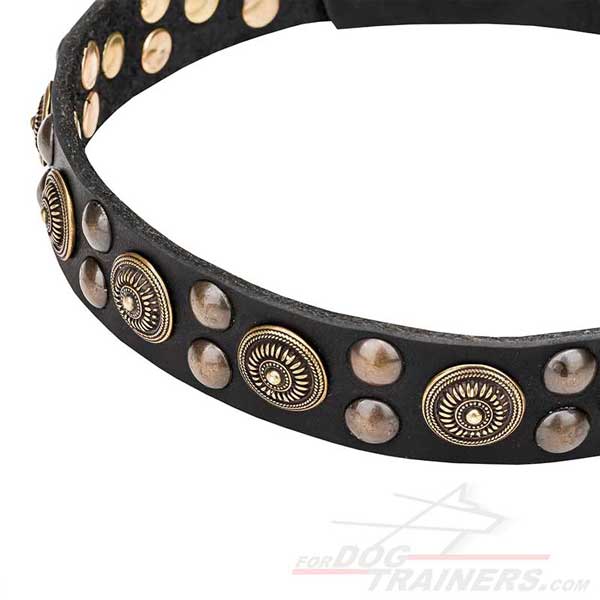 Designer Leather Dog Collar with Brass Studs