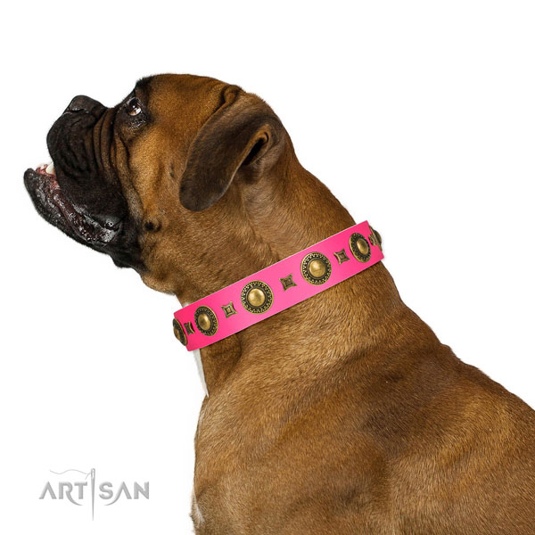 Extraordinary walking pink leather Boxer collar with chic decorations