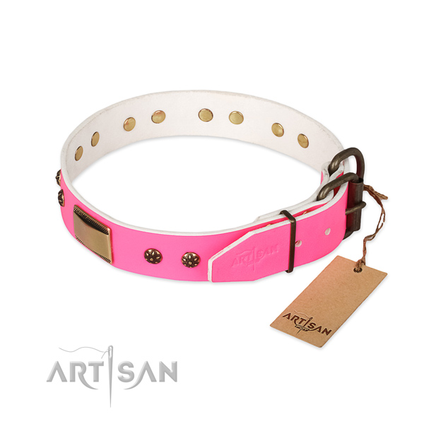 Brass Decorative Parts on Pink Dog Collar