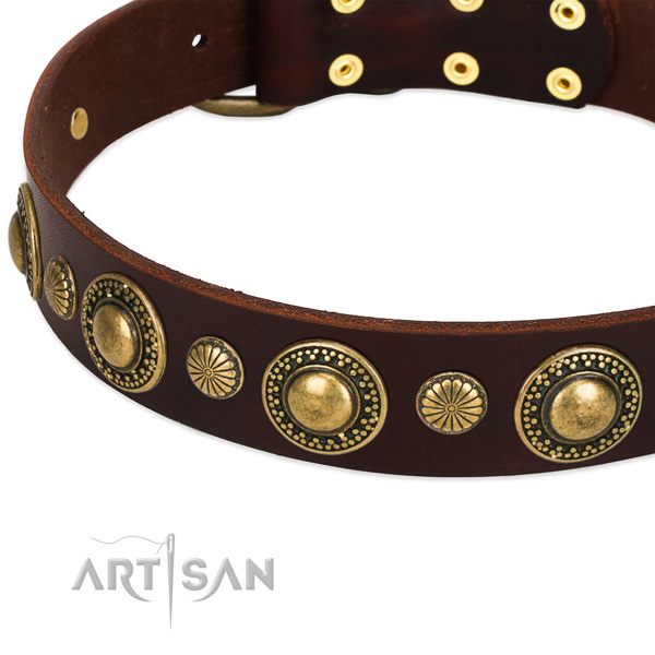 Brown leather dog collar with vintage decorations