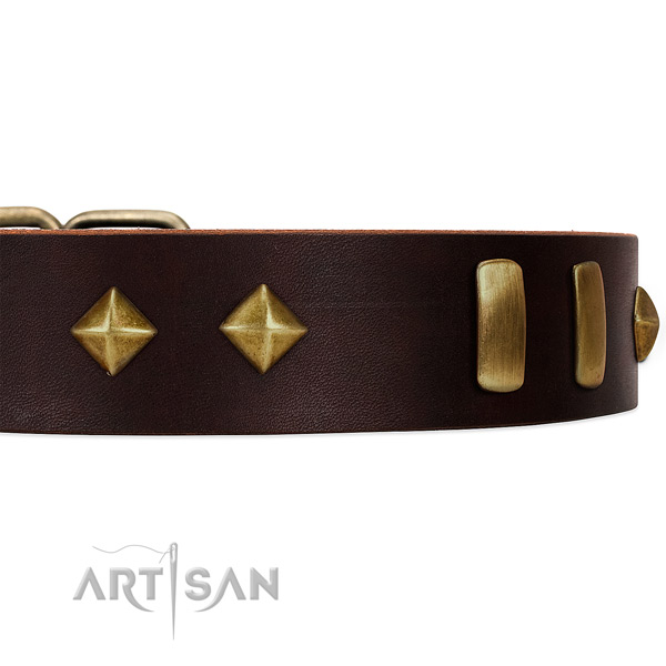 Old Bronze-like  plates and studs set in fashionable leather dog collar