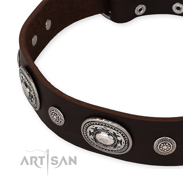 Easy to adjust brown leather dog collar