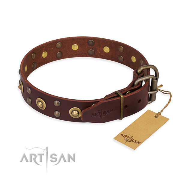 Brown leather dog collar with riveted fittings