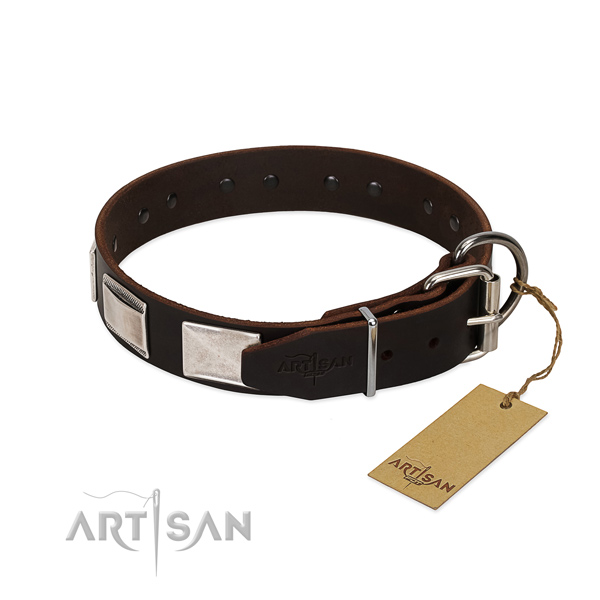 Reliable FDT Artisan leather dog collar