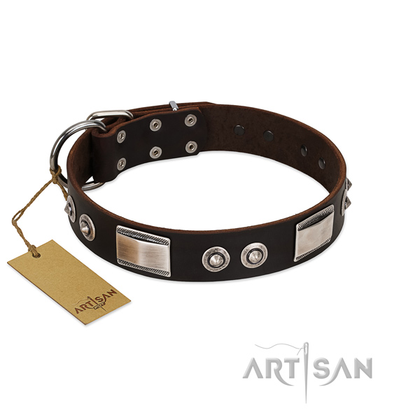 Brown dog collar for comfortable daily walks