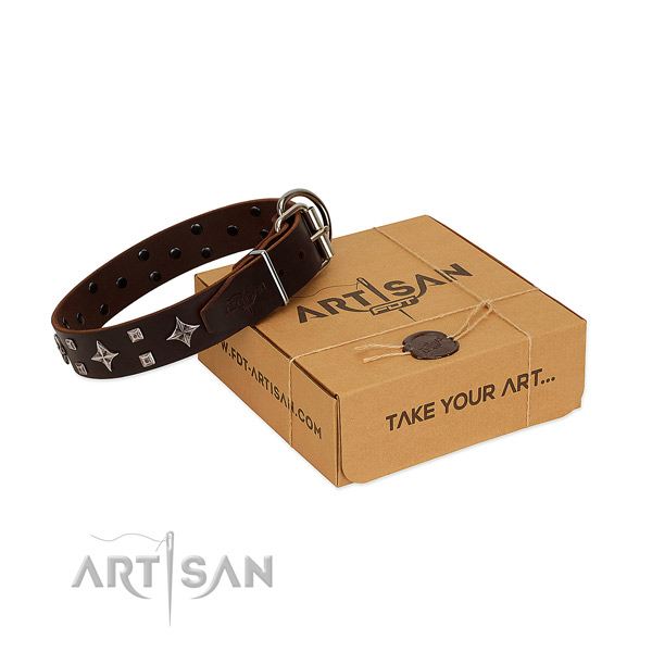 Fantastic brown leather dog collar for pleasant daily wear