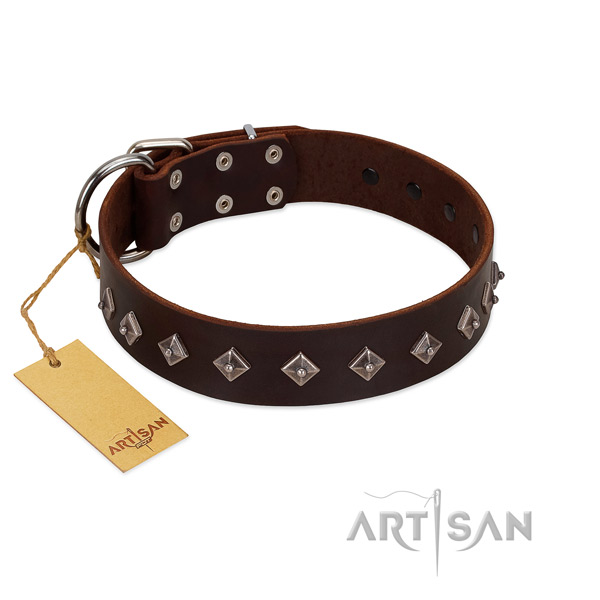 Fabulous FDT Artisan leather dog collar