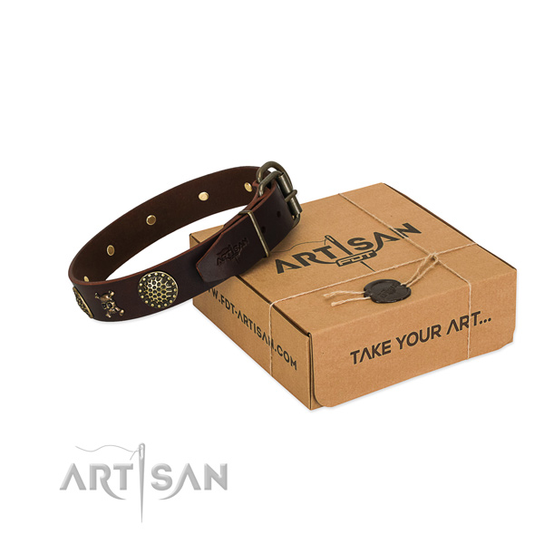 FDT Artisan leather dog collar for walks