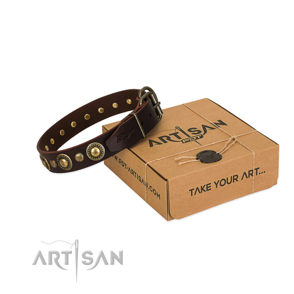 FDT Artisan leather dog collar for walks