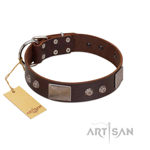 Modern FDT Artisan leather dog collar