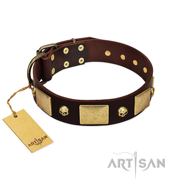 Marvelous Leather Dog Collar for Better Handling