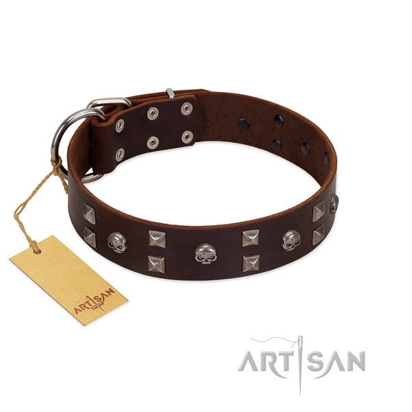 Reliable FDT Artisan leather dog collar for better handling