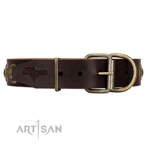 Leather dog collar with old bronze-like hardware