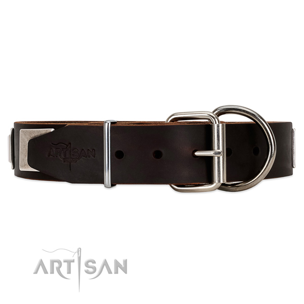 Strong leather dog collar with chrome plated hardware